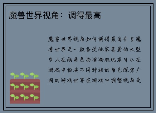 魔兽世界视角：调得最高